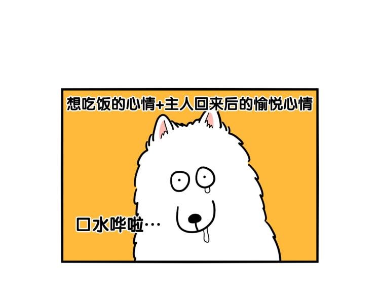 第3话 热烈迎你回家！