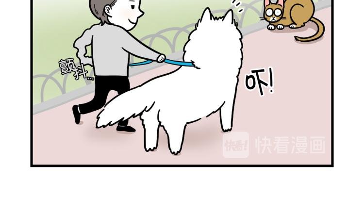 第4话 训练狗狗大作战！