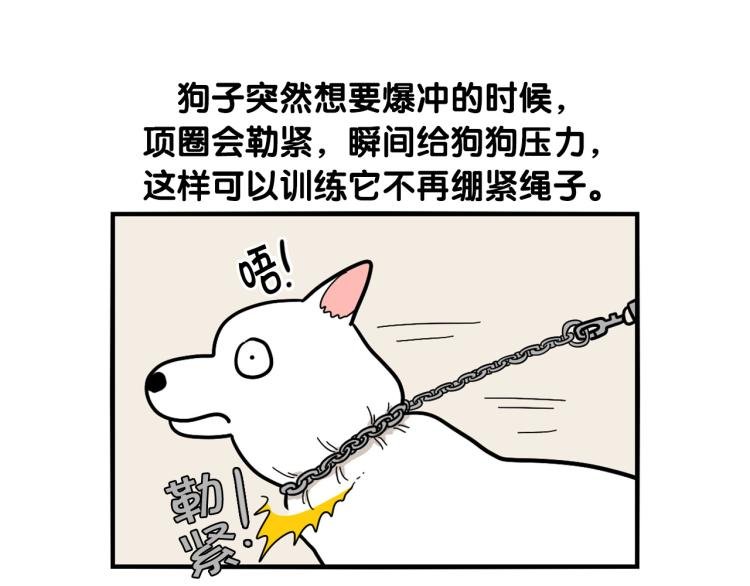第4话 训练狗狗大作战！