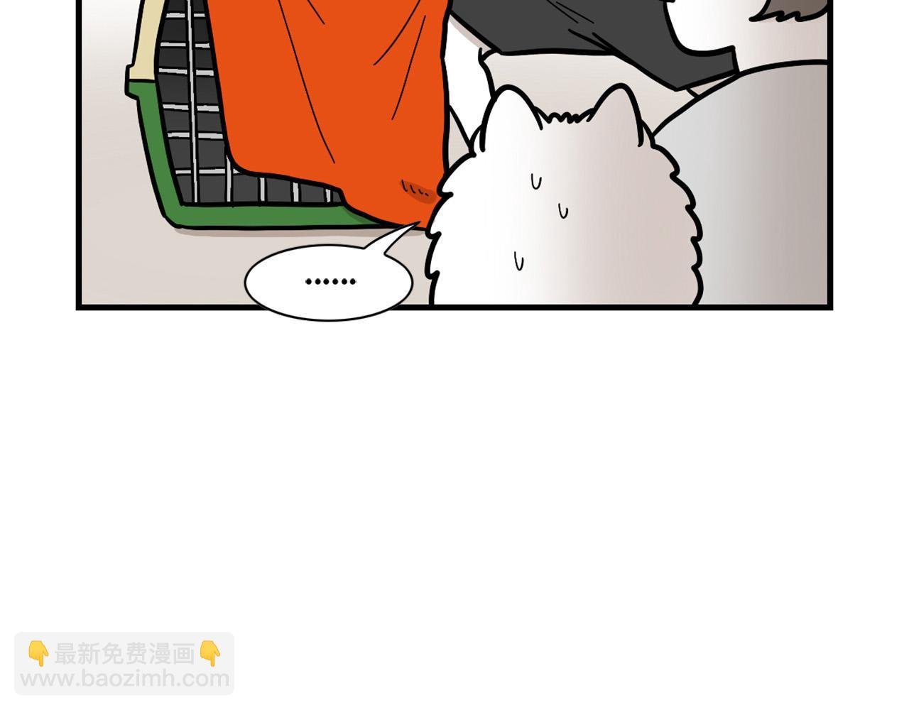 第54话 接它回家！