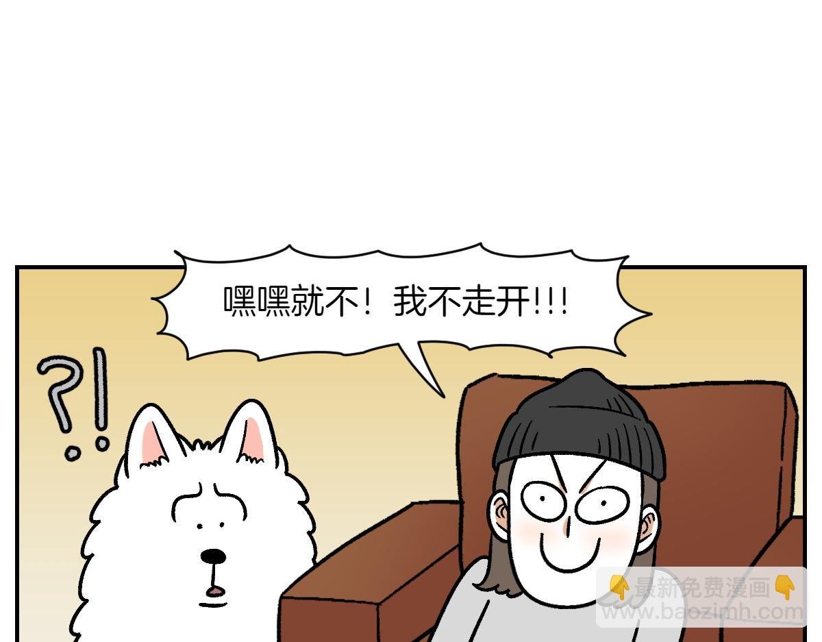 第8话 棉花的专属位置