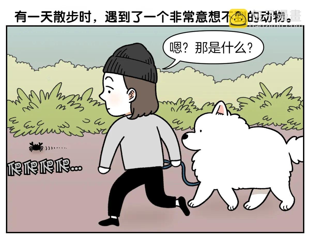 第25话 意想不到的动物朋友们