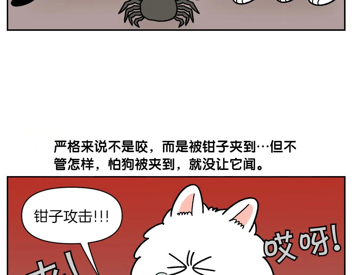 第25话 意想不到的动物朋友们