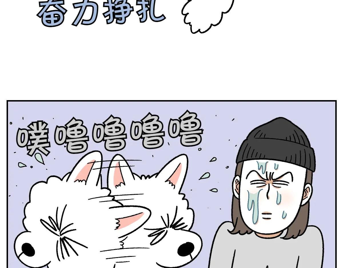 第28话 狗狗药