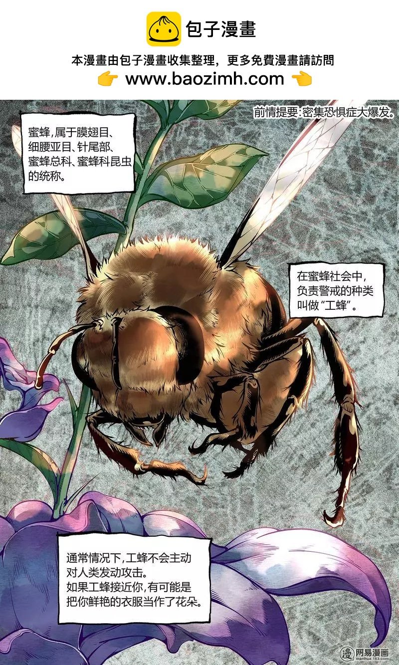 41-上