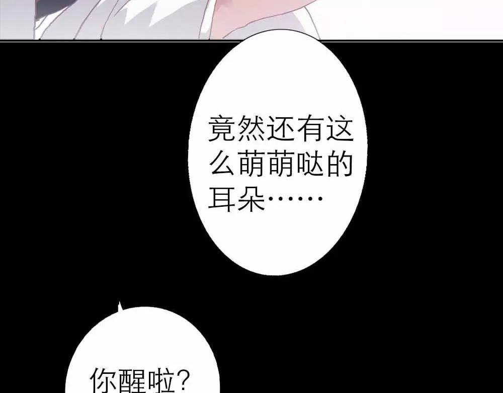 第3话 小恶女，这是我的桃花源