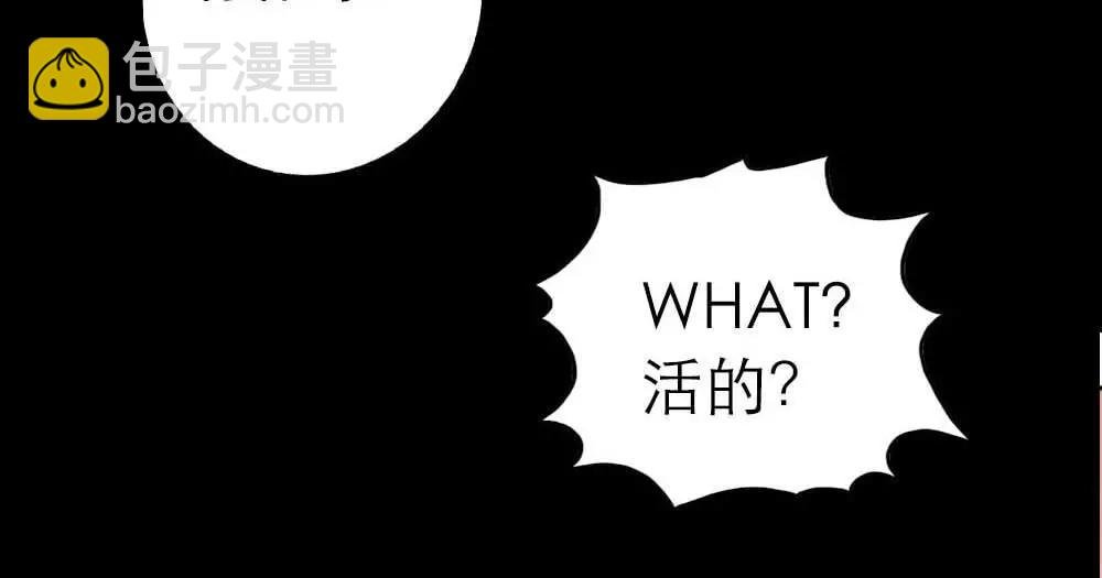 第3话 小恶女，这是我的桃花源