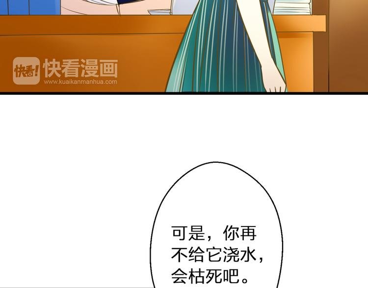 第35话（上） 躁起来