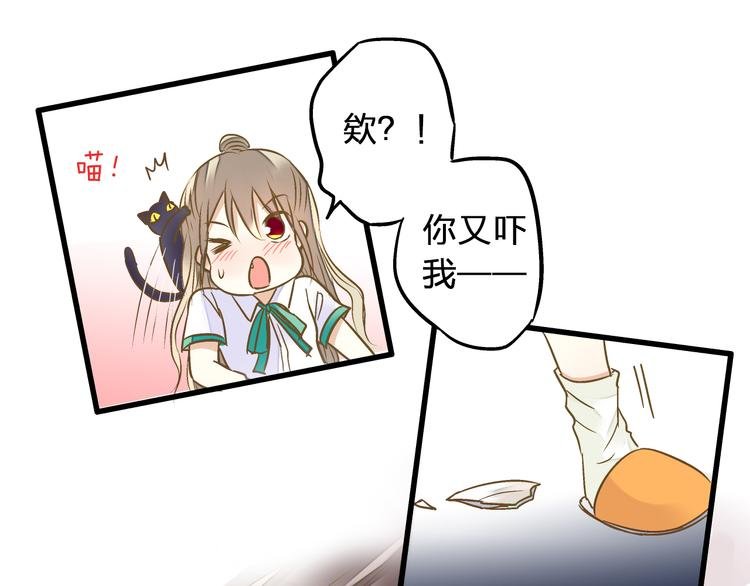 第35话（下）躁起来