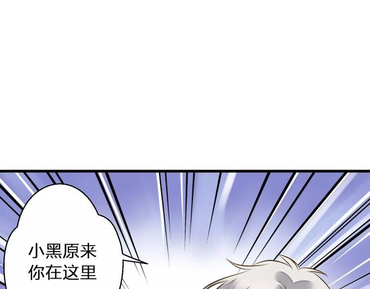 第50话 他不在