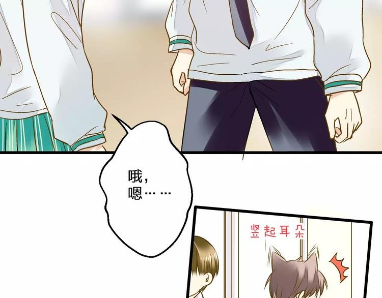 第74话 背后的悄悄话
