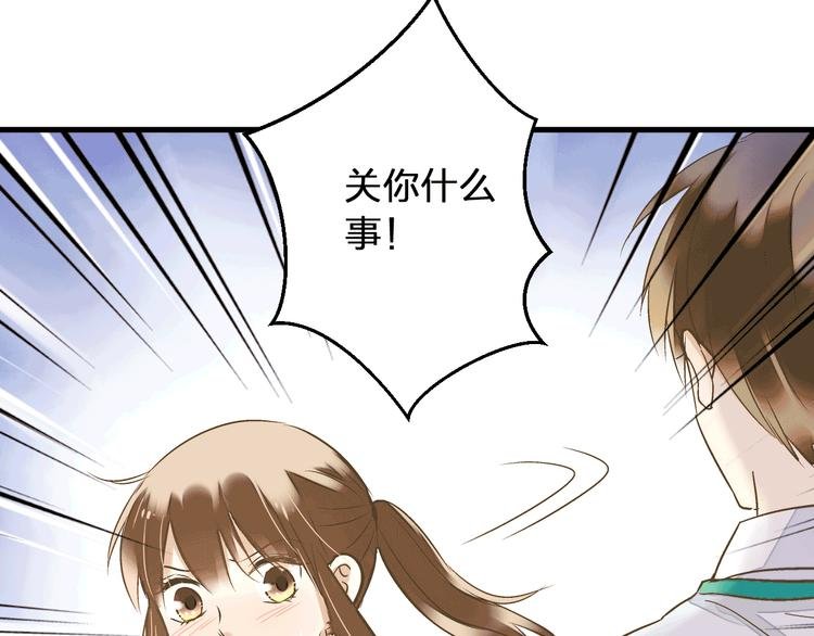 第92话 你是笨蛋吗
