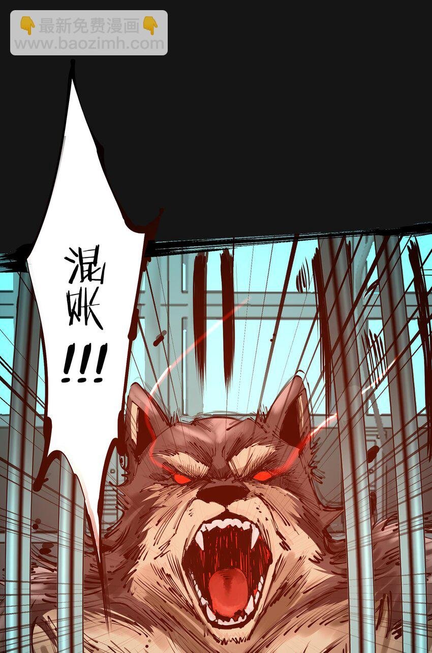 117 钢笼