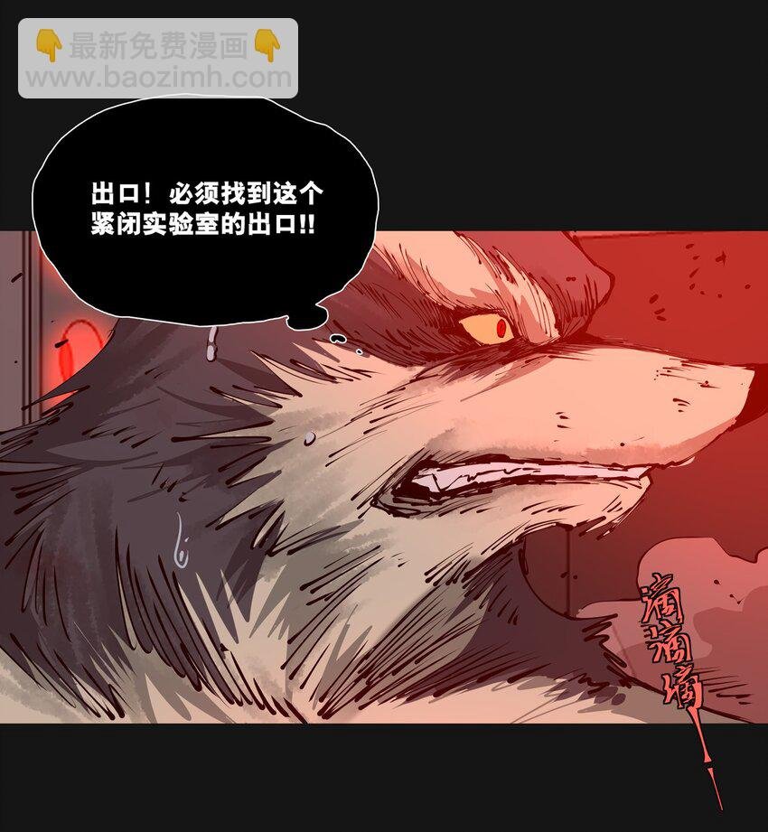 120 柴一