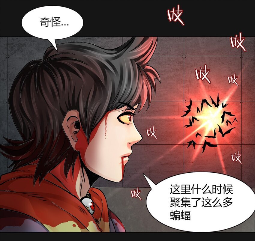 08 发现
