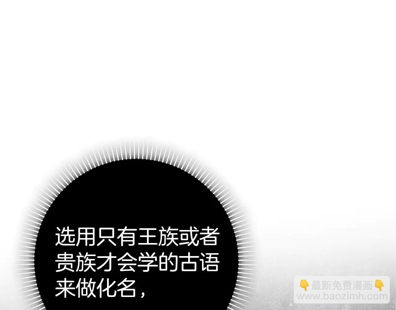 第108话 爱之项链
