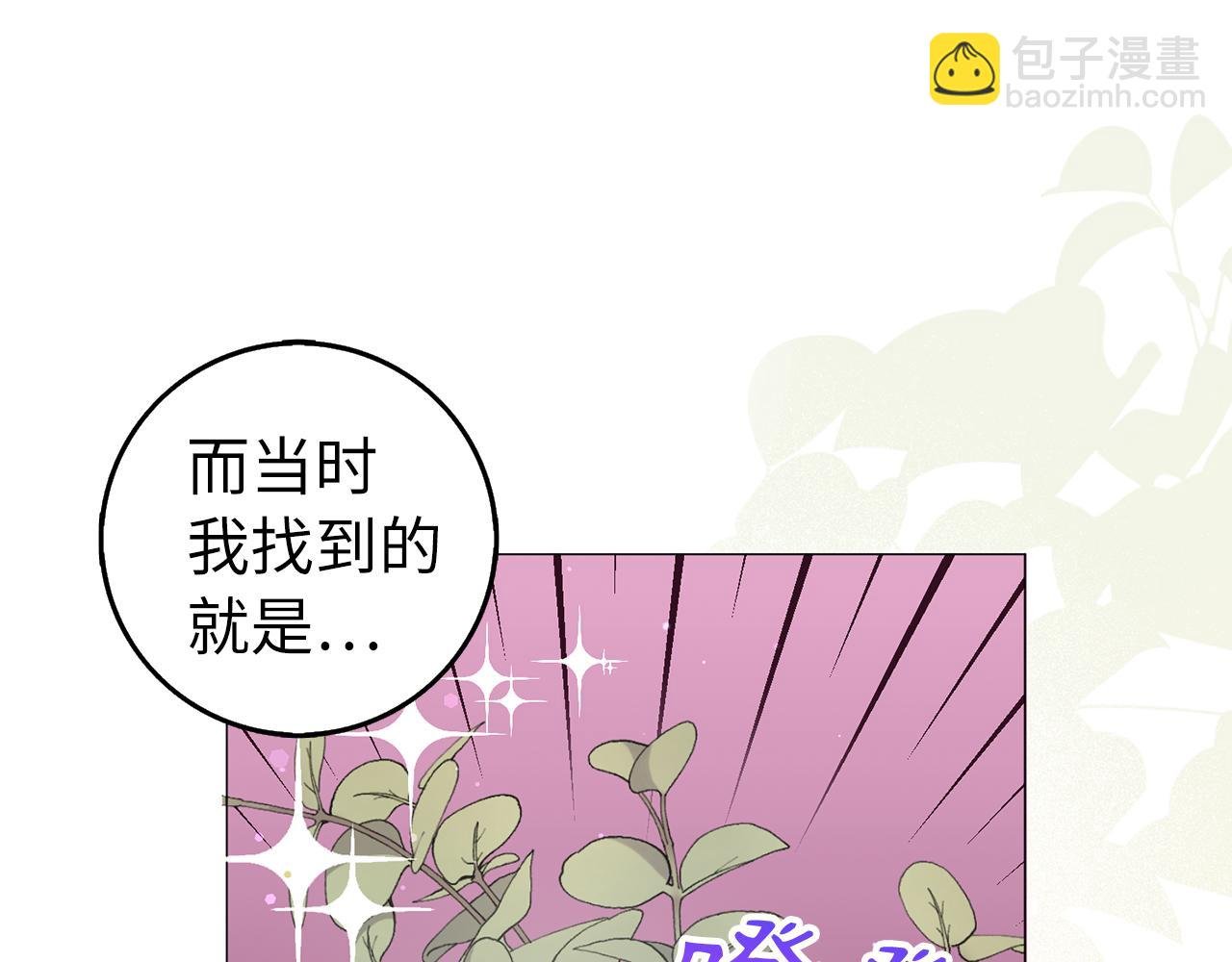 第26话 精灵石