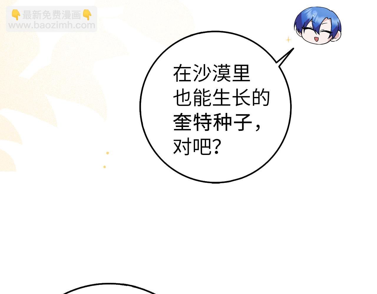第26话 精灵石