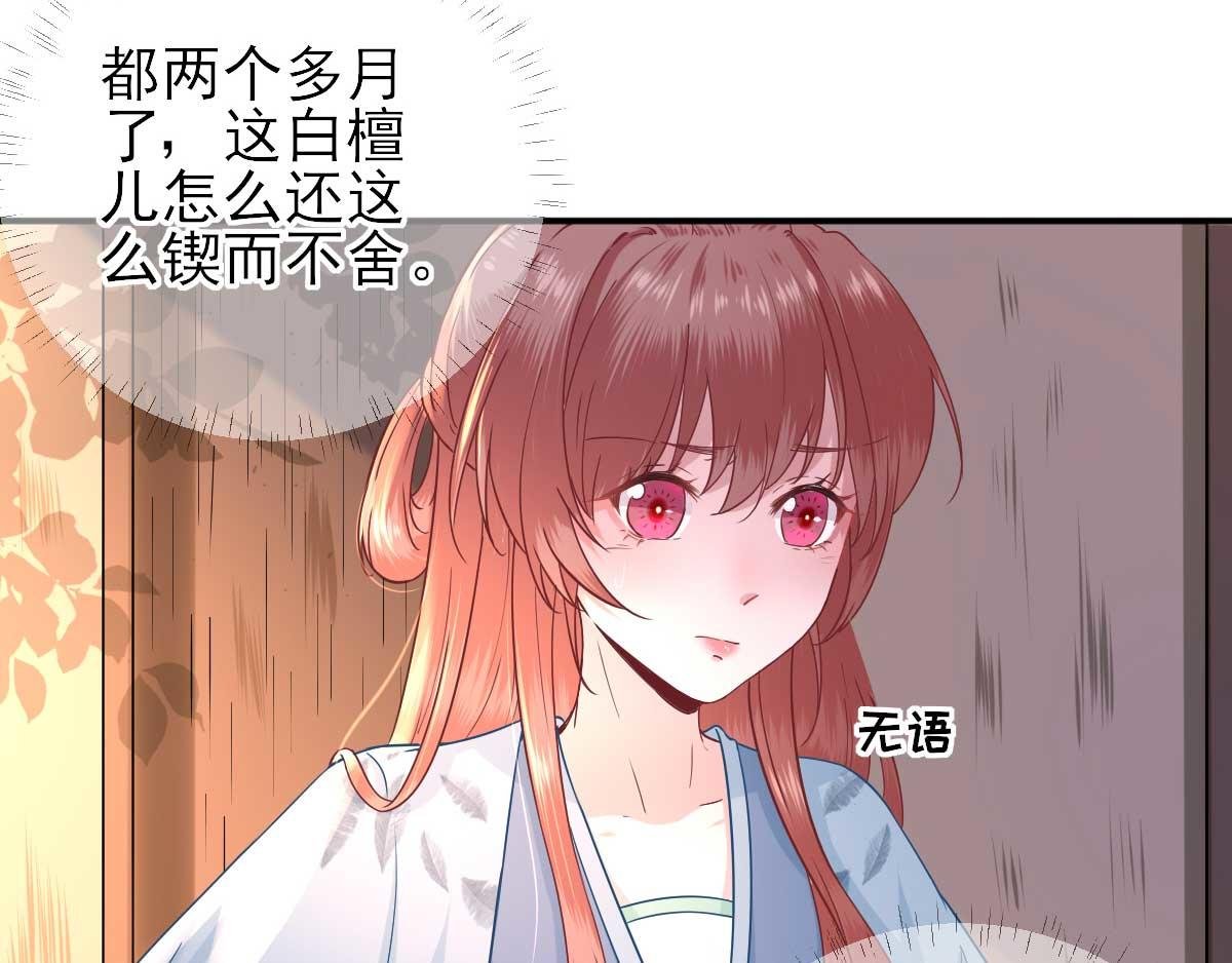 第50话 白檀儿碰壁