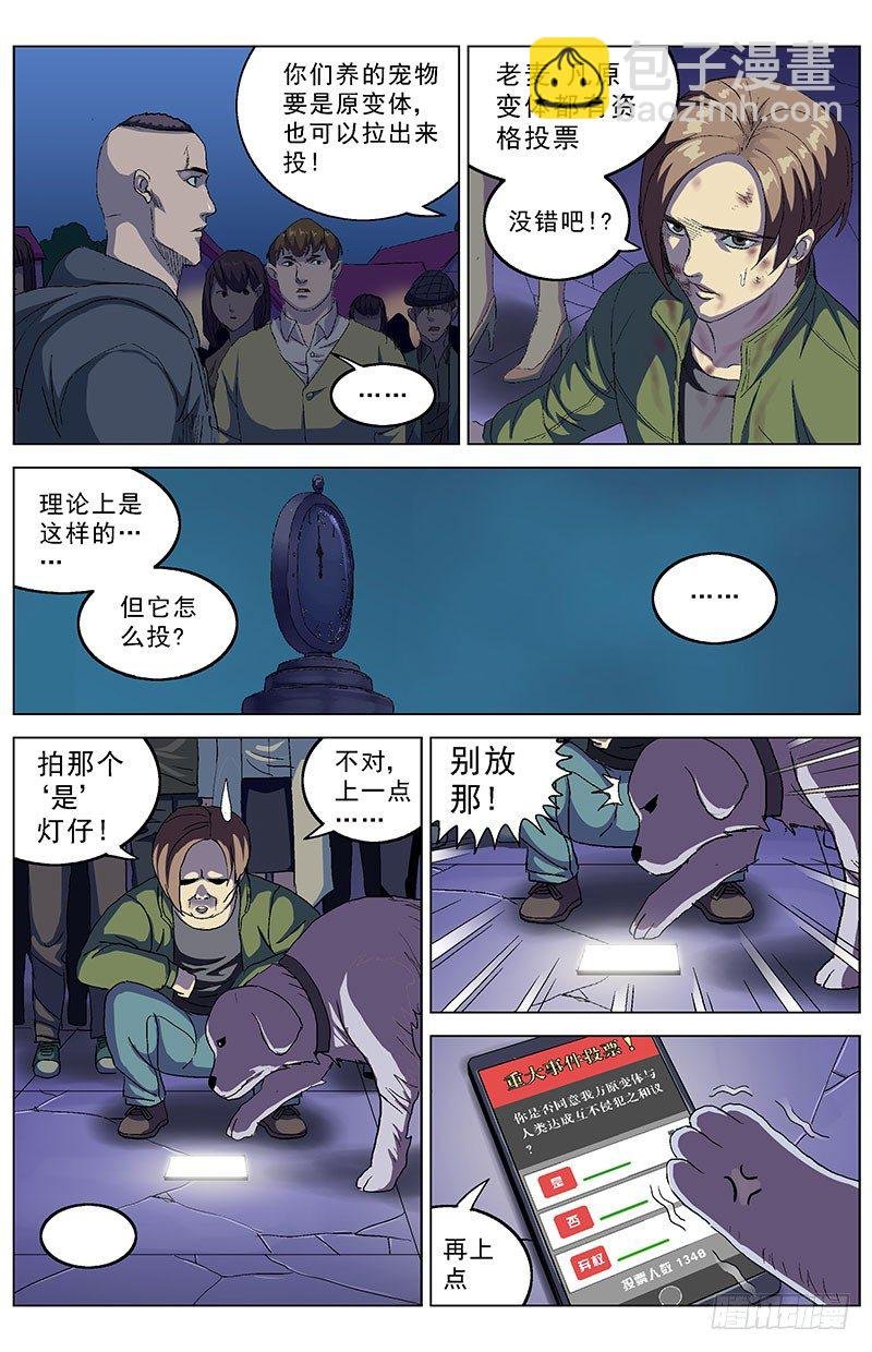 161投票
