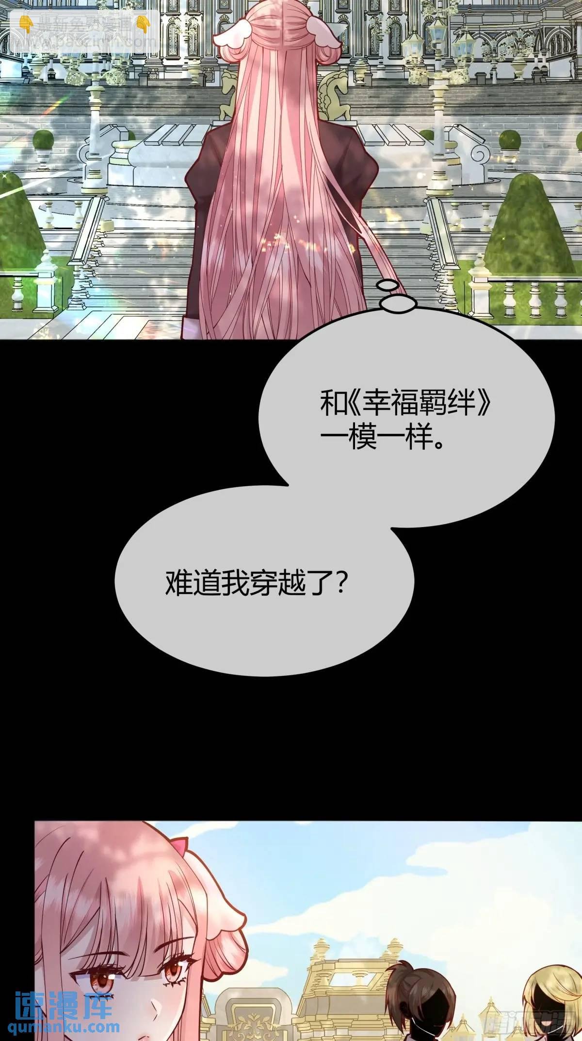 99 091猫