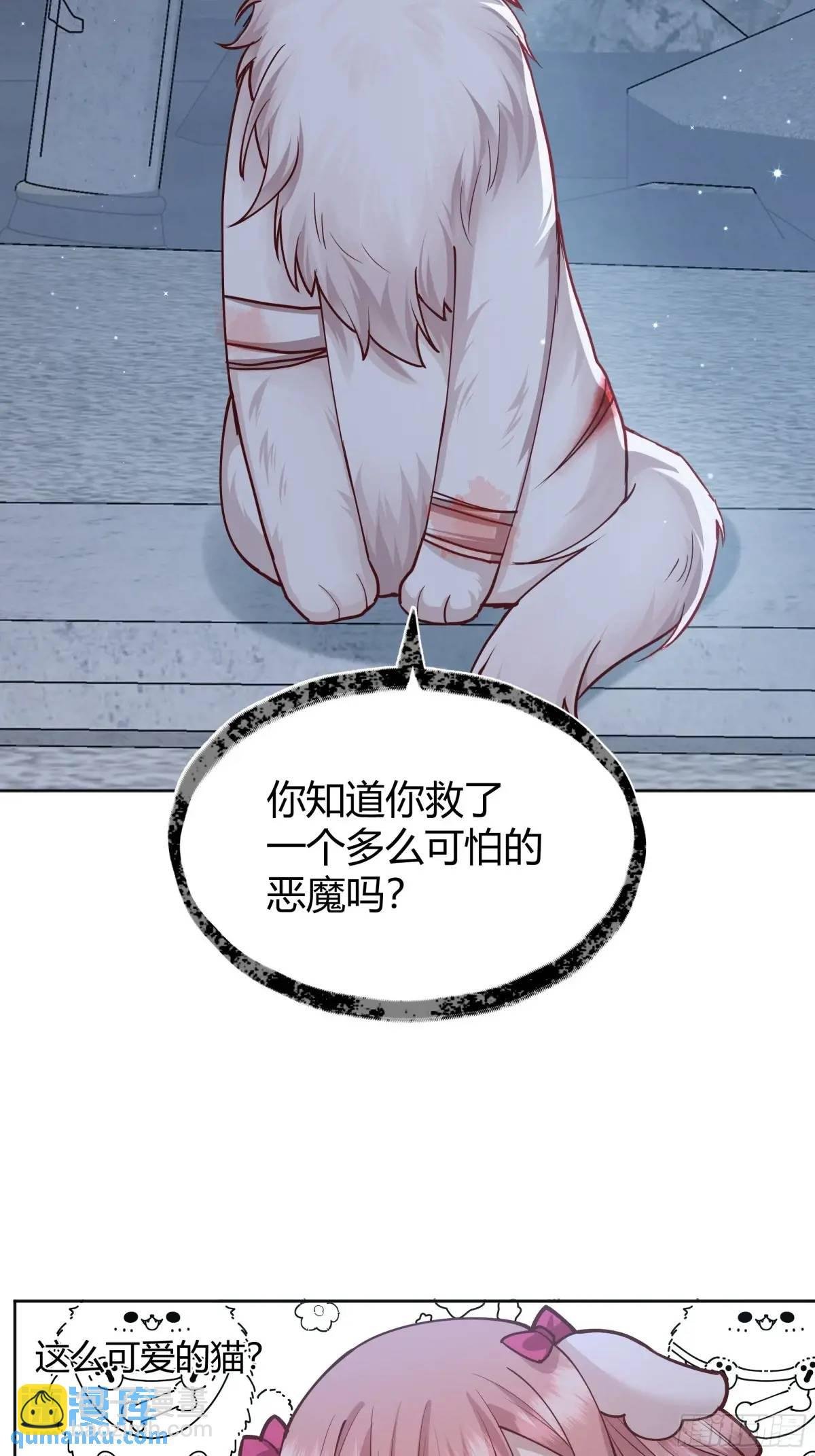 99 091猫