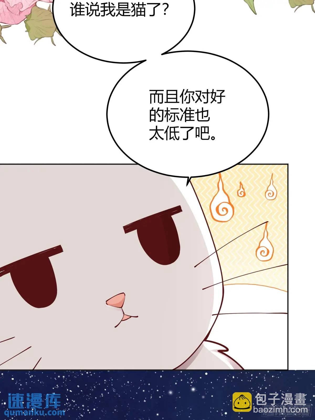 99 091猫