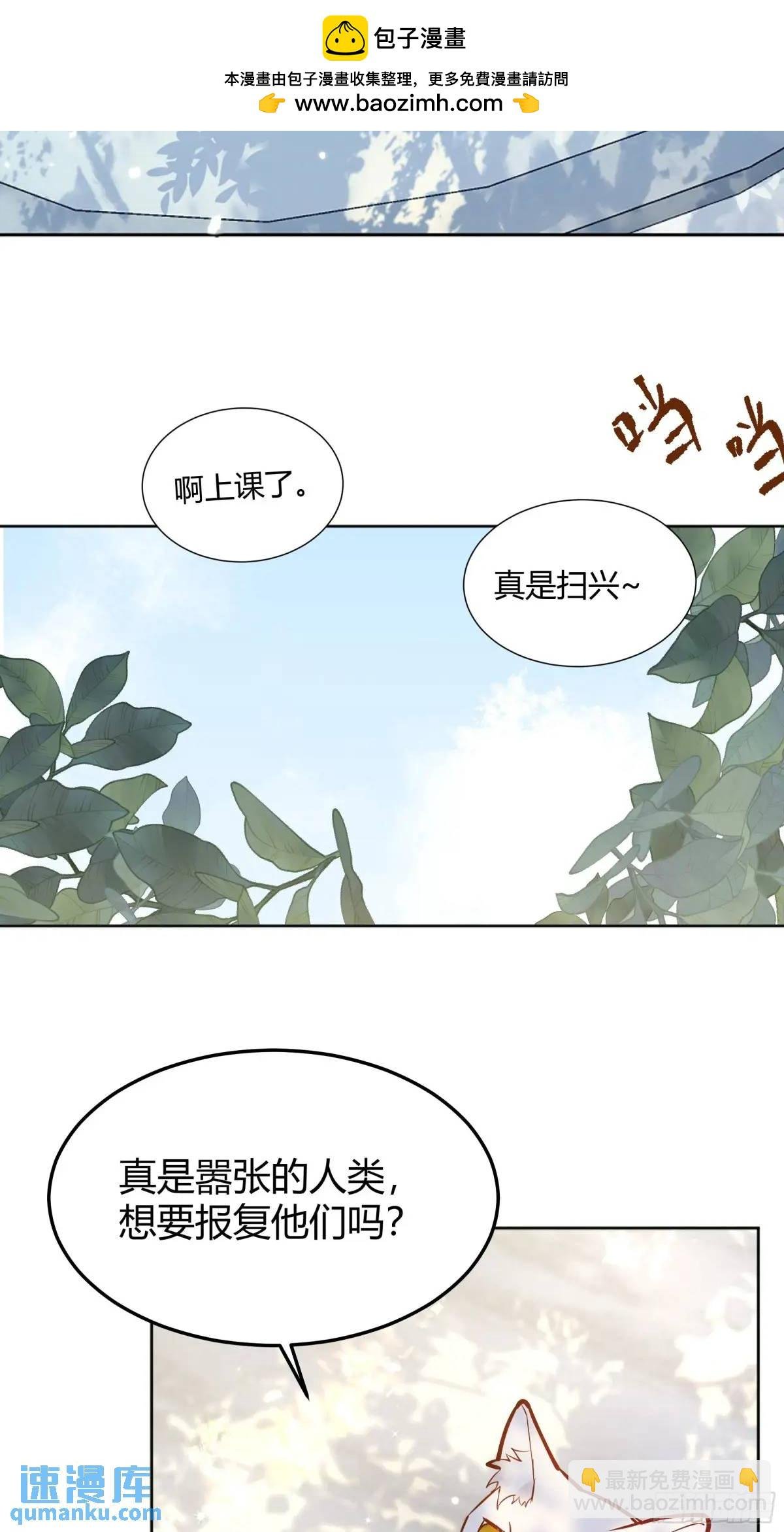99 091猫