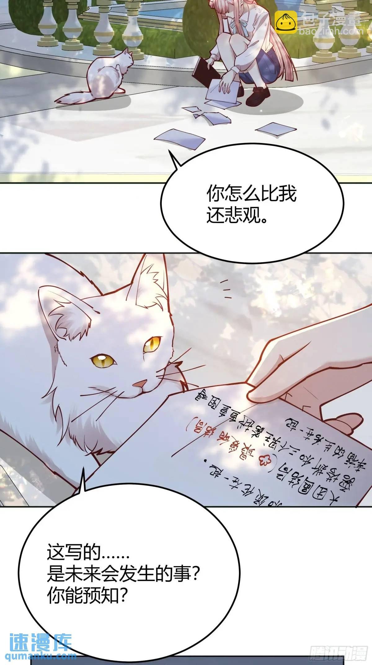 99 091猫