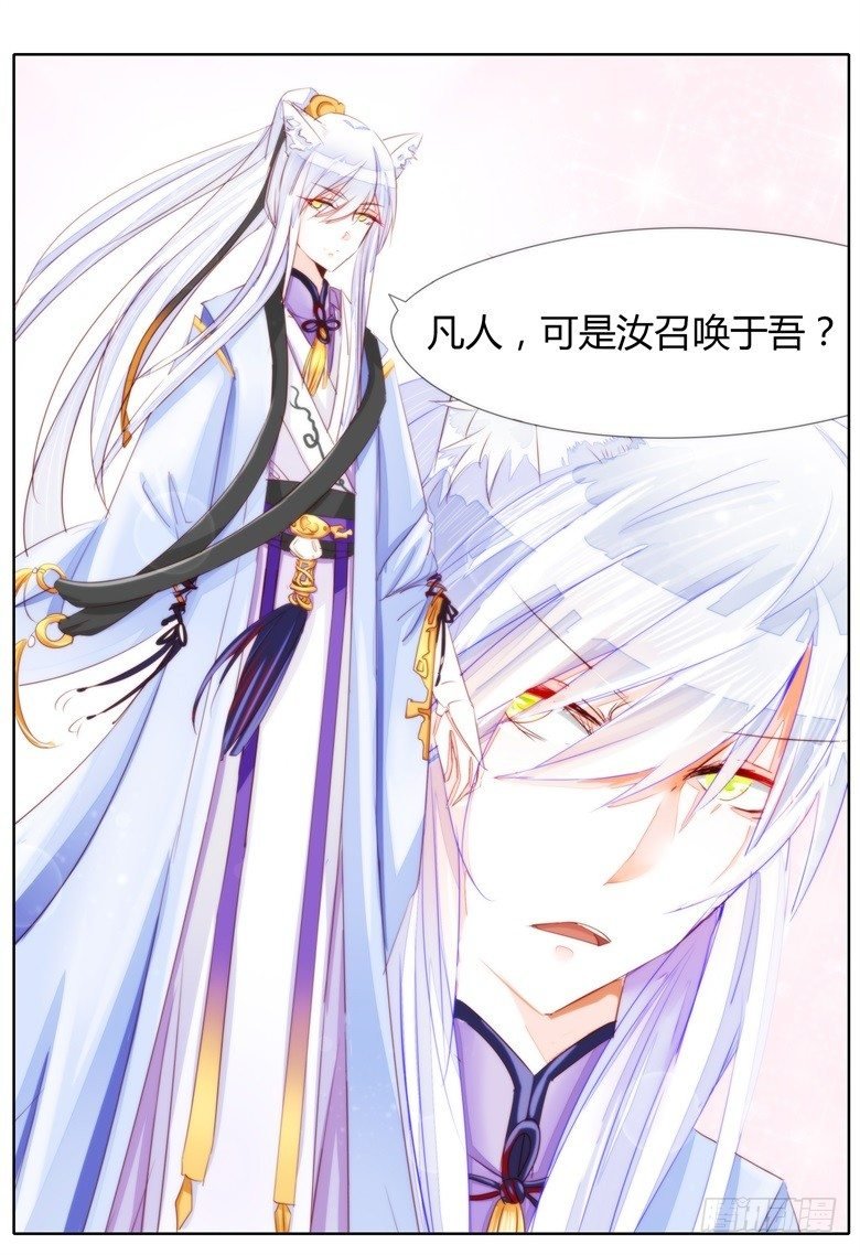 028：召出来的冷面帅犬！