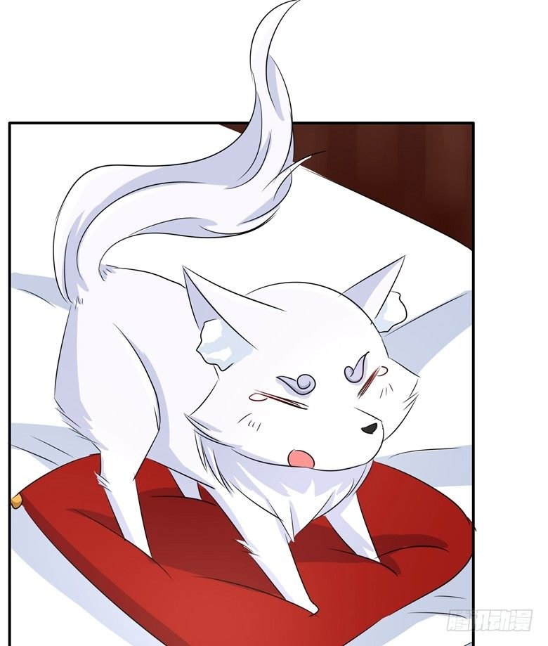 067：小白青司