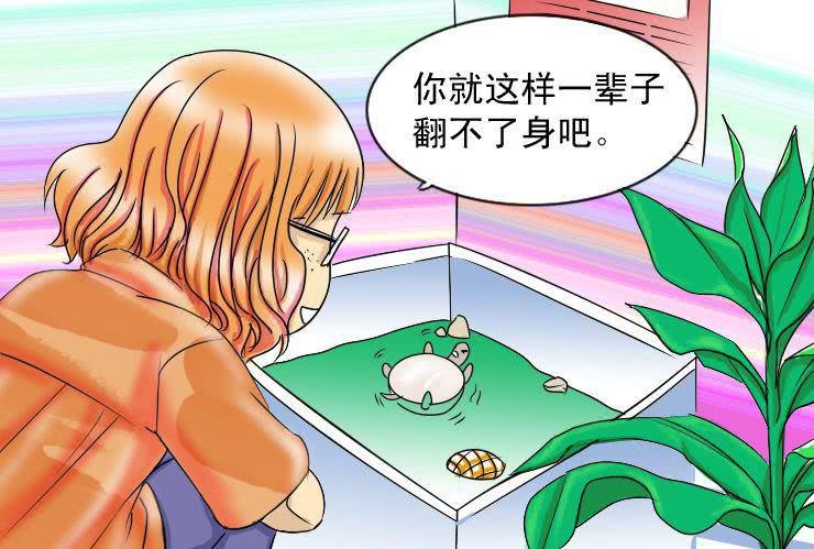 二十四 还不都因为你