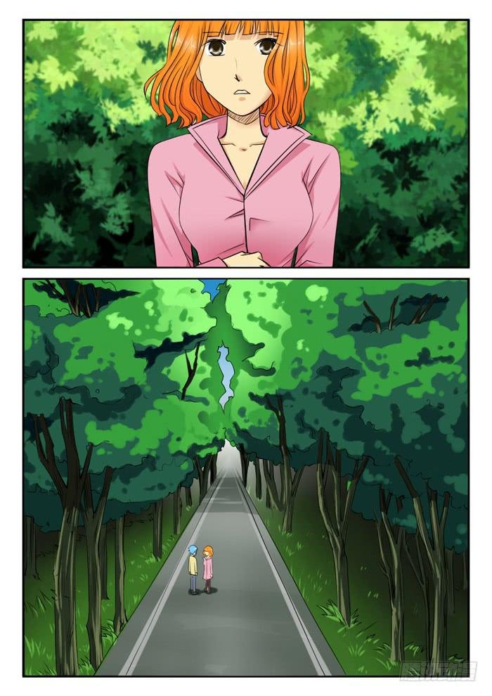 242林荫路上