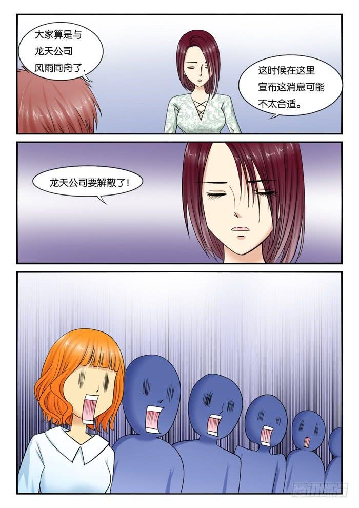 244公司解散