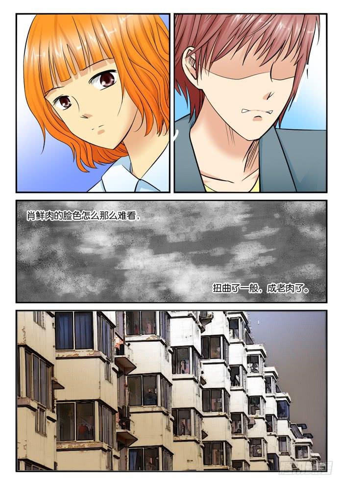 244公司解散