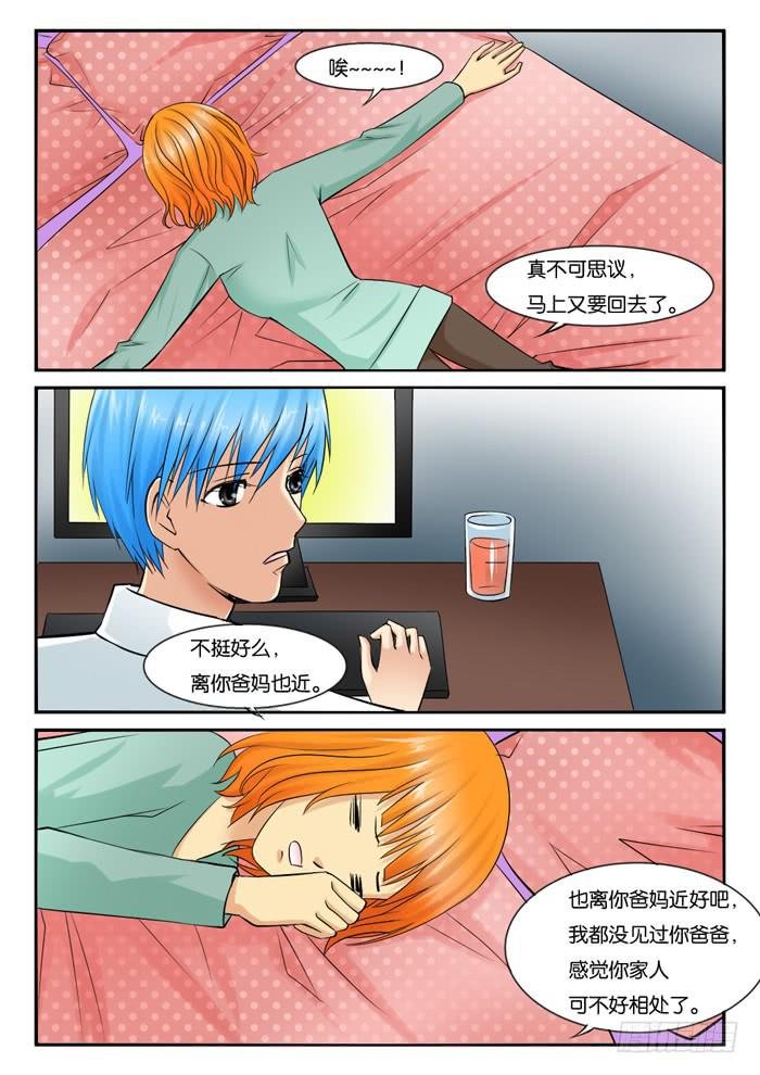 244公司解散