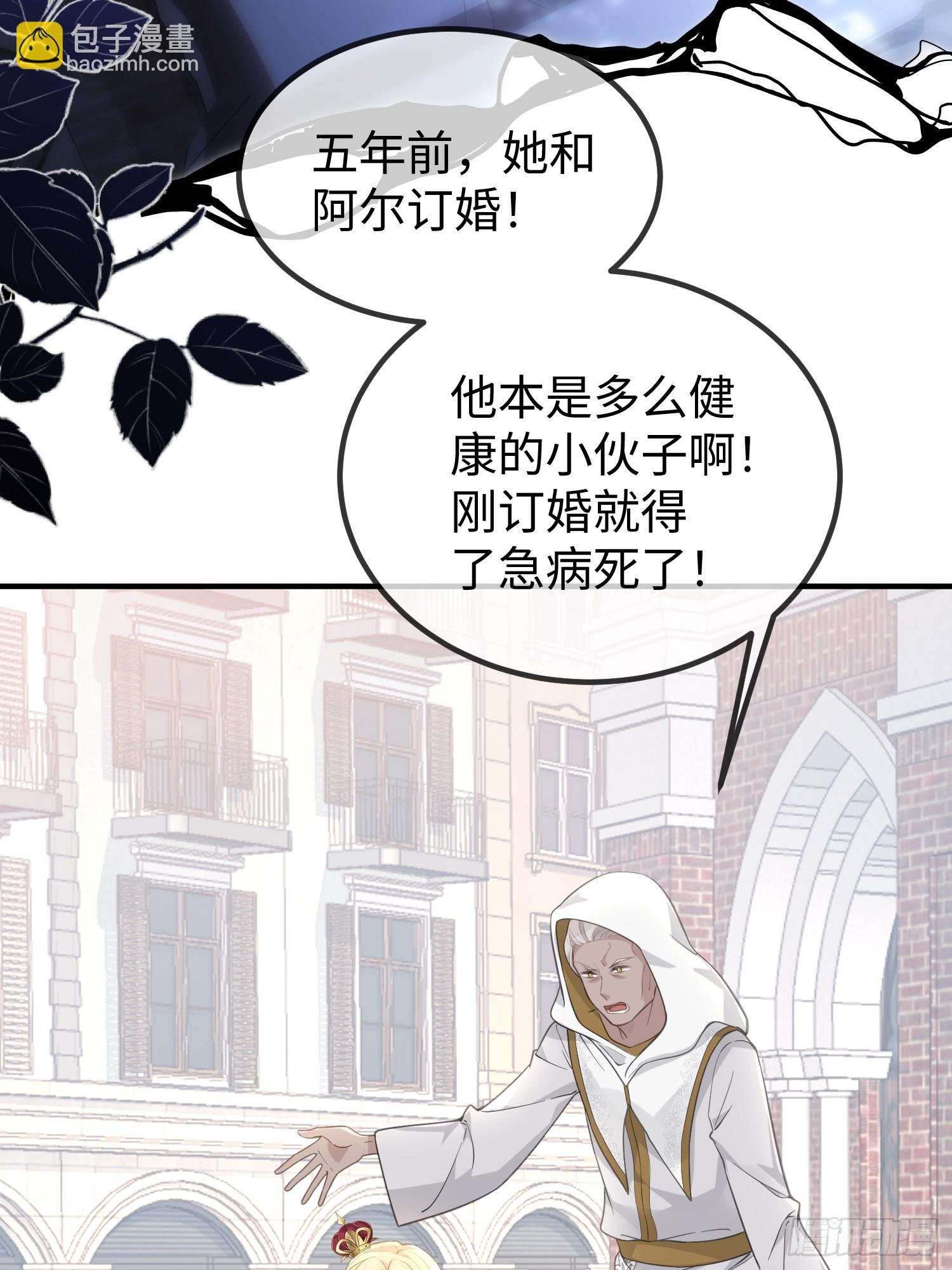 01 寡妇王妃