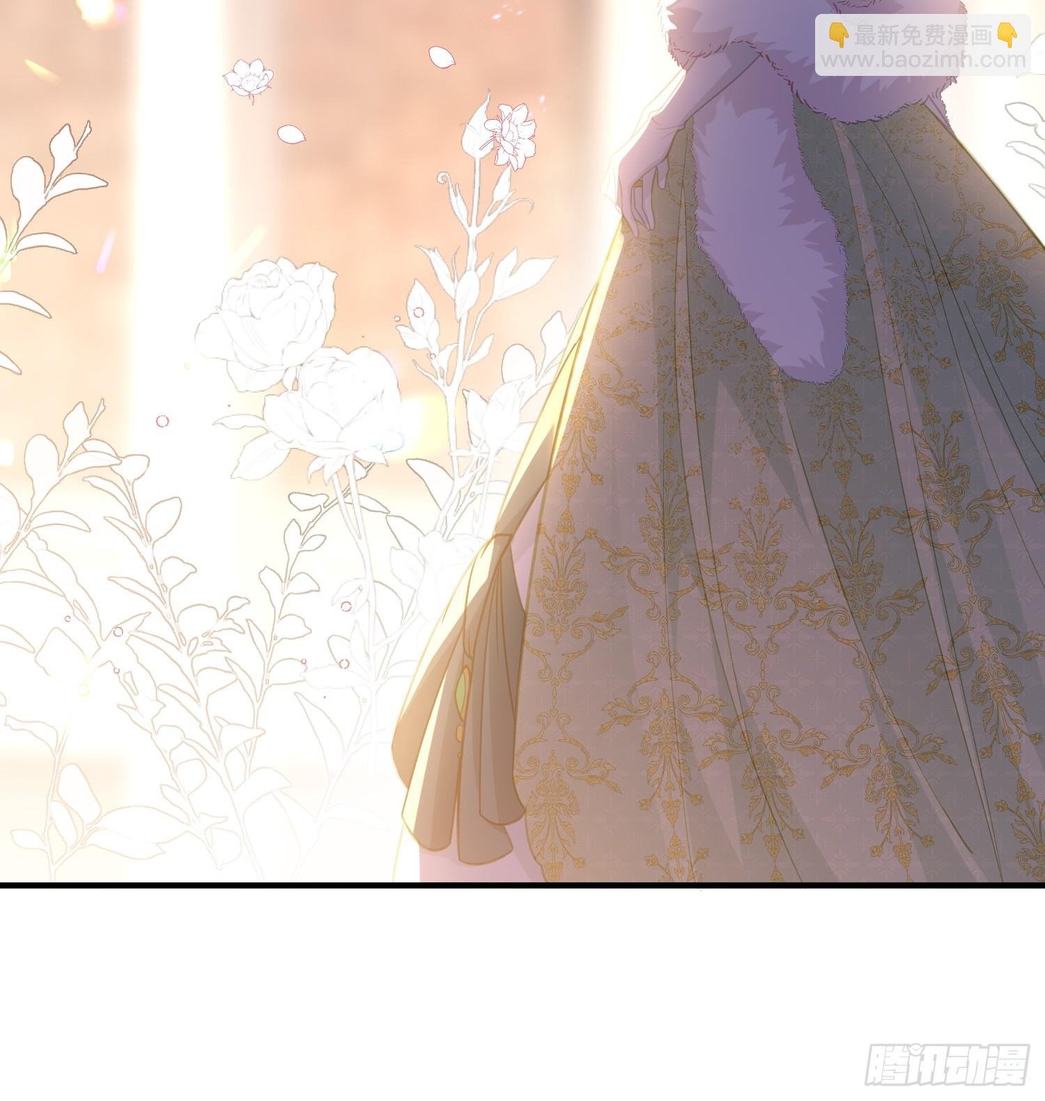 01 寡妇王妃