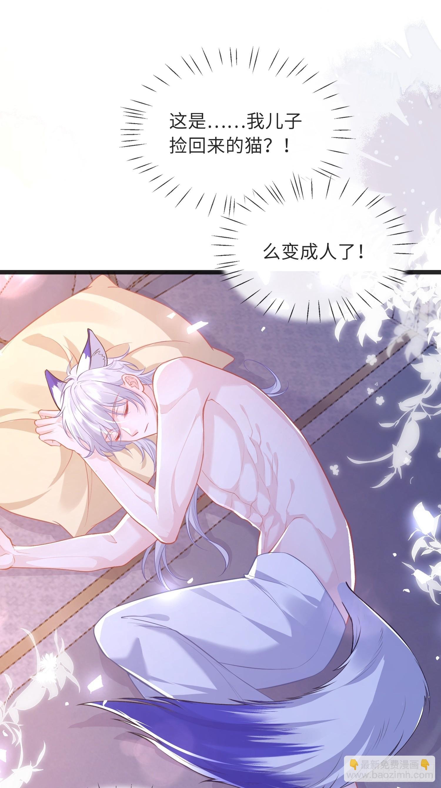 11 猫妖化人？
