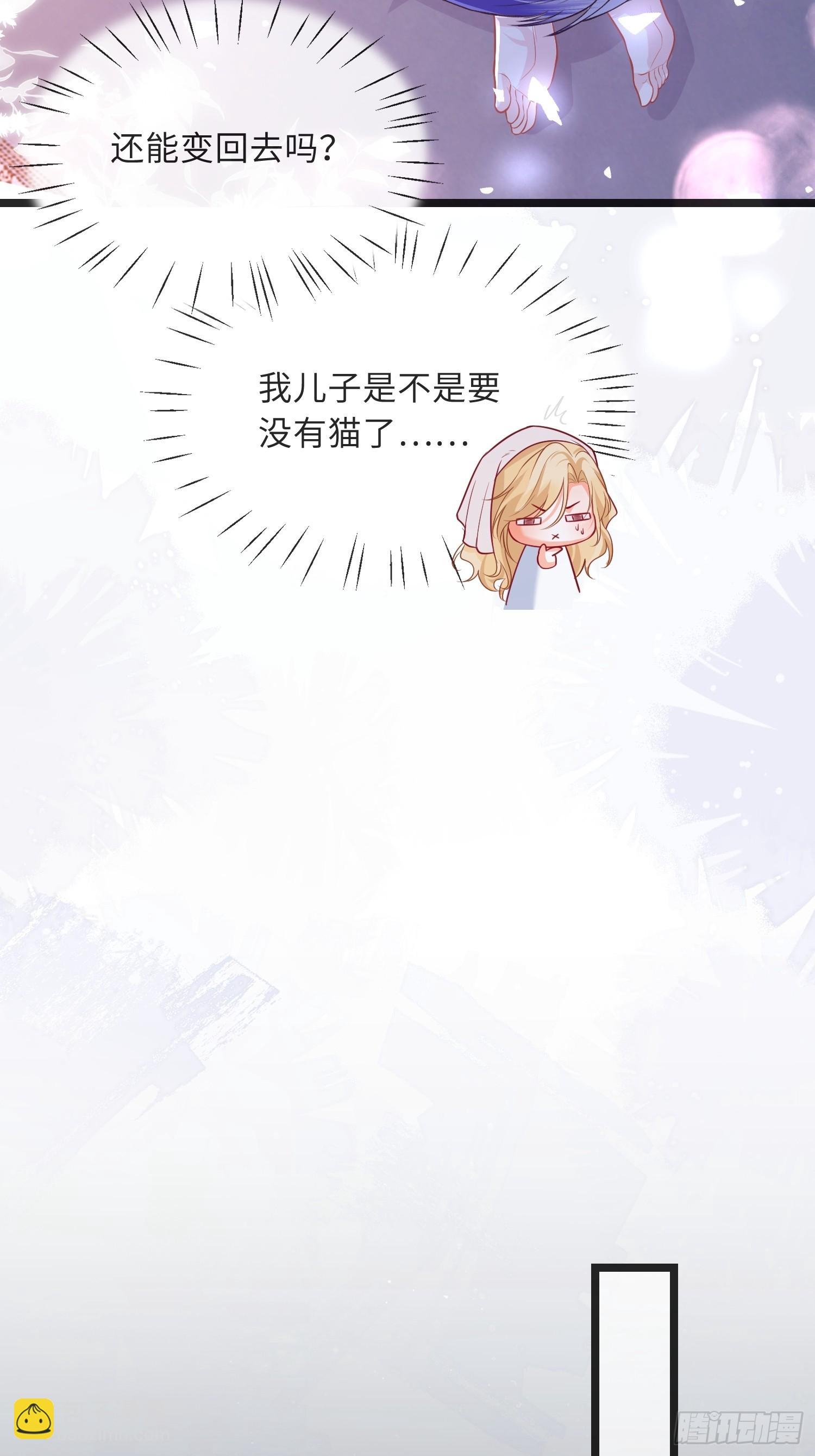 11 猫妖化人？