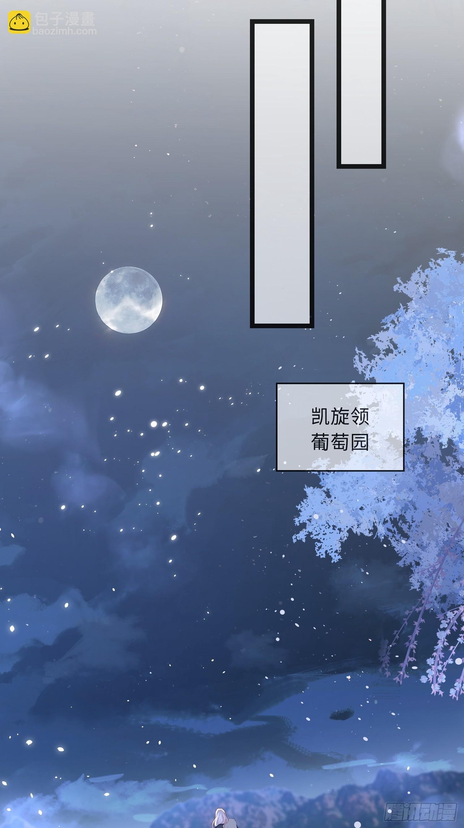11 猫妖化人？