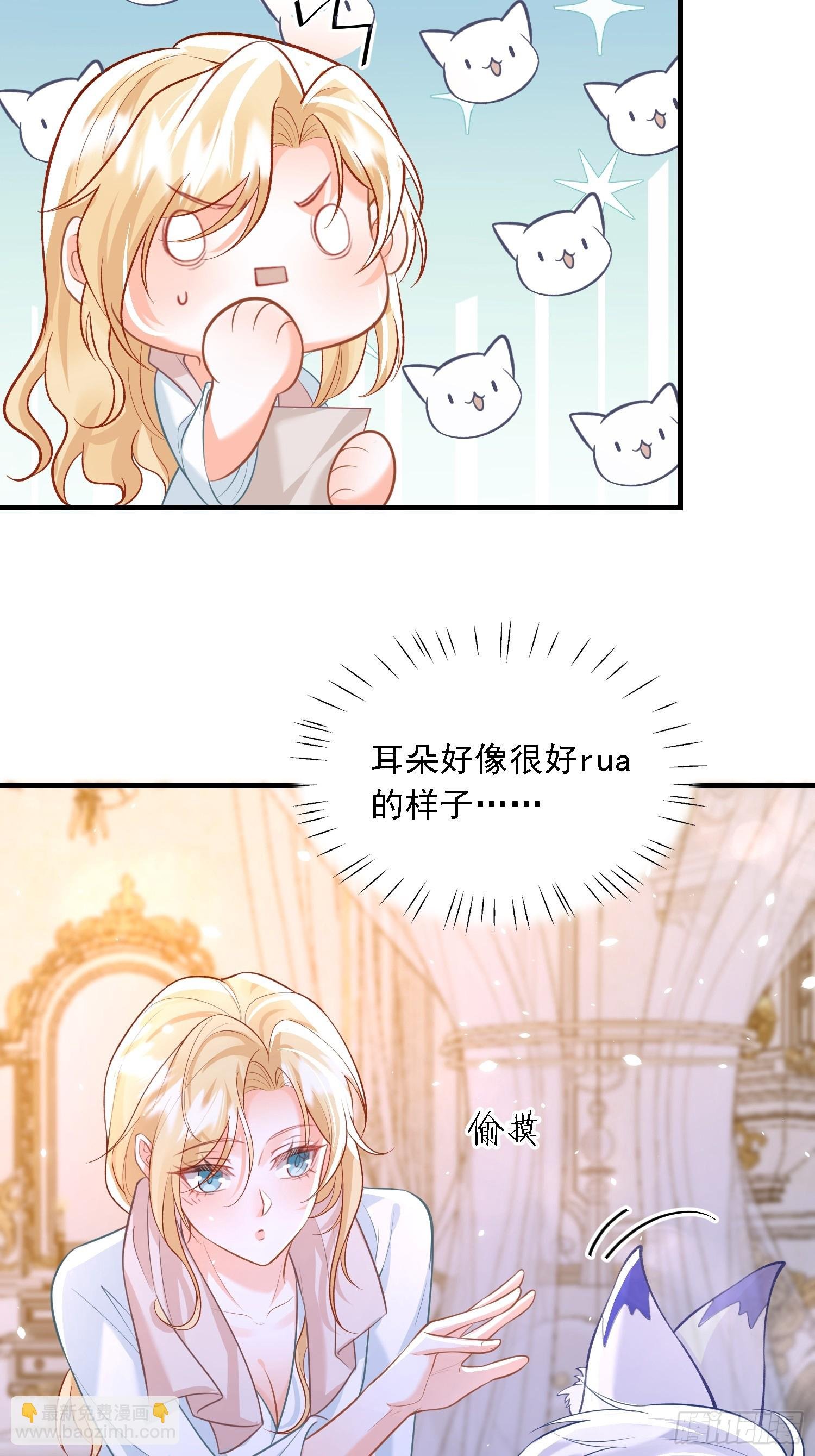 11 猫妖化人？