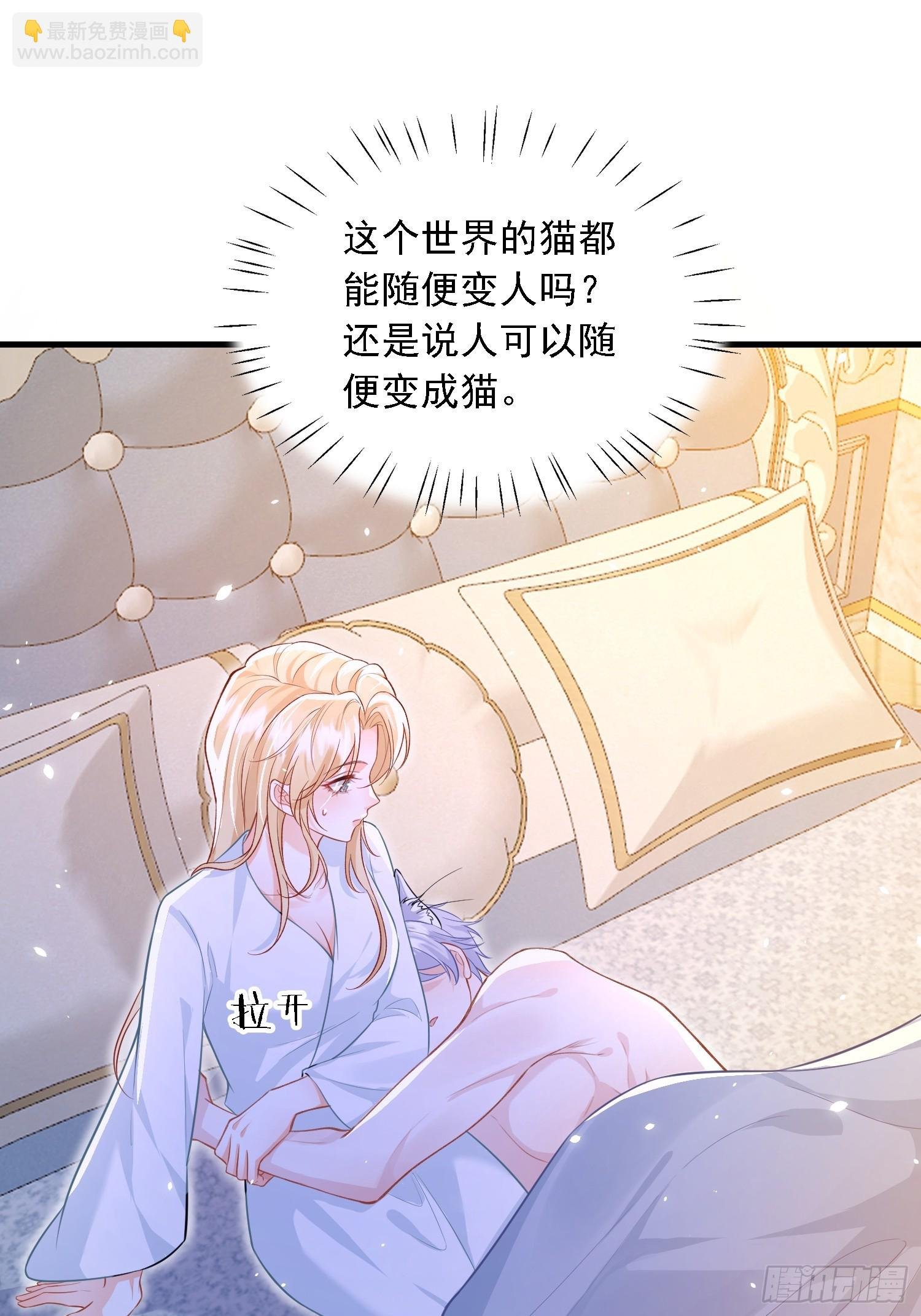 11 猫妖化人？