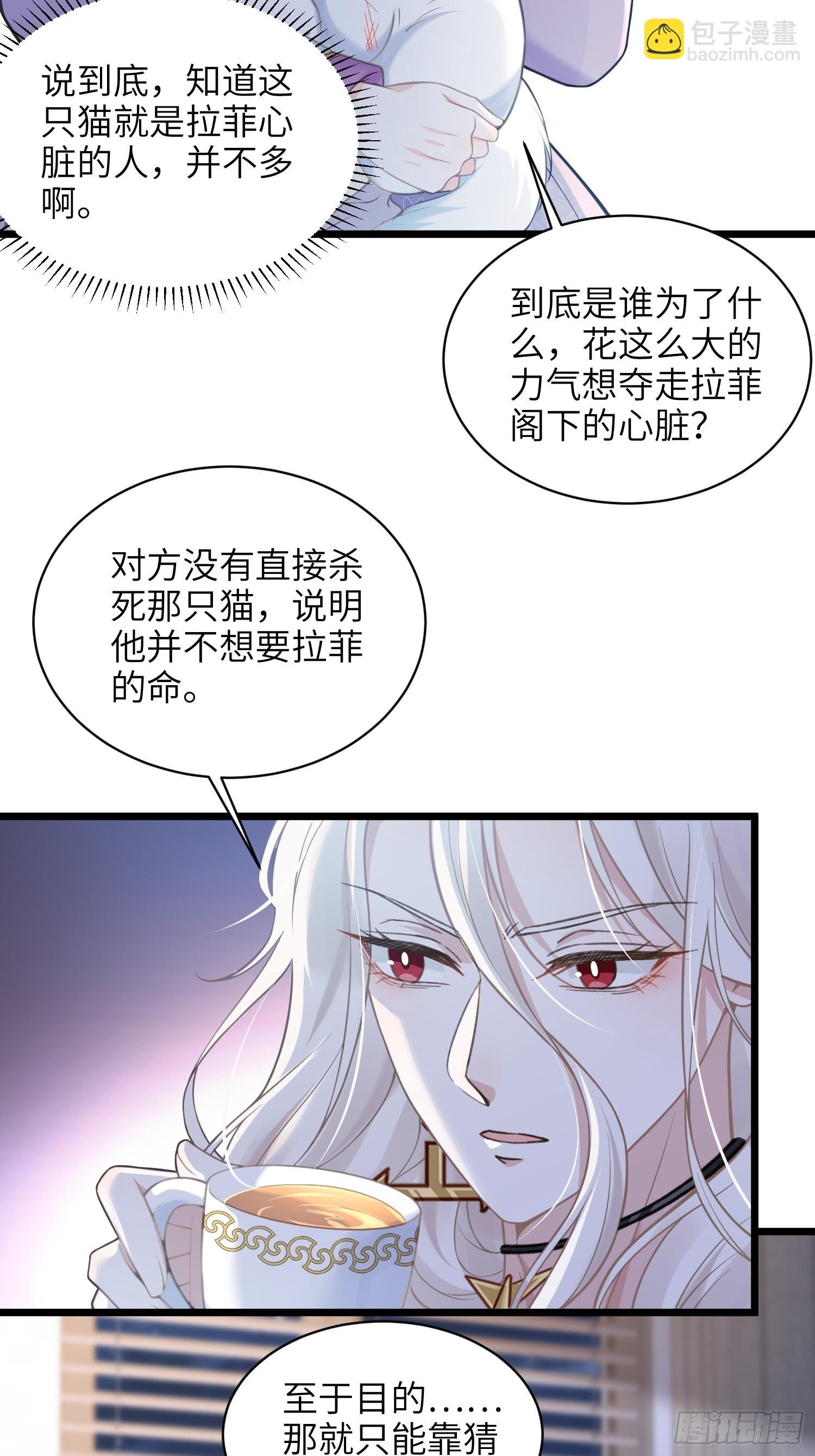 56 拉菲与蕾拉的过去
