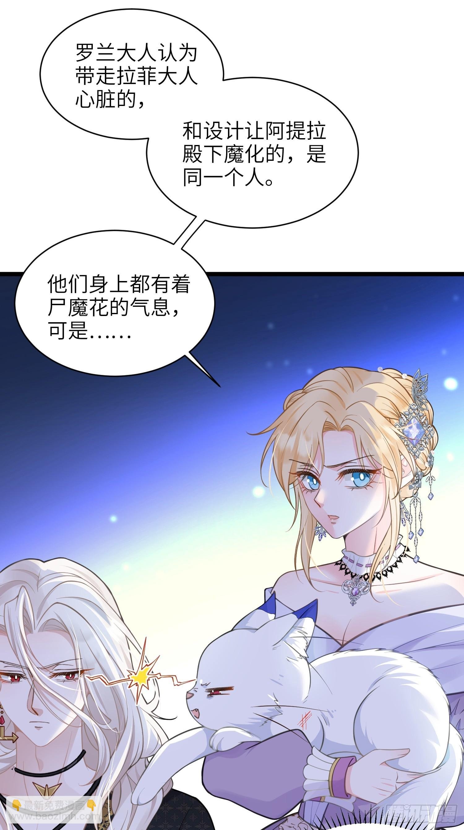 56 拉菲与蕾拉的过去