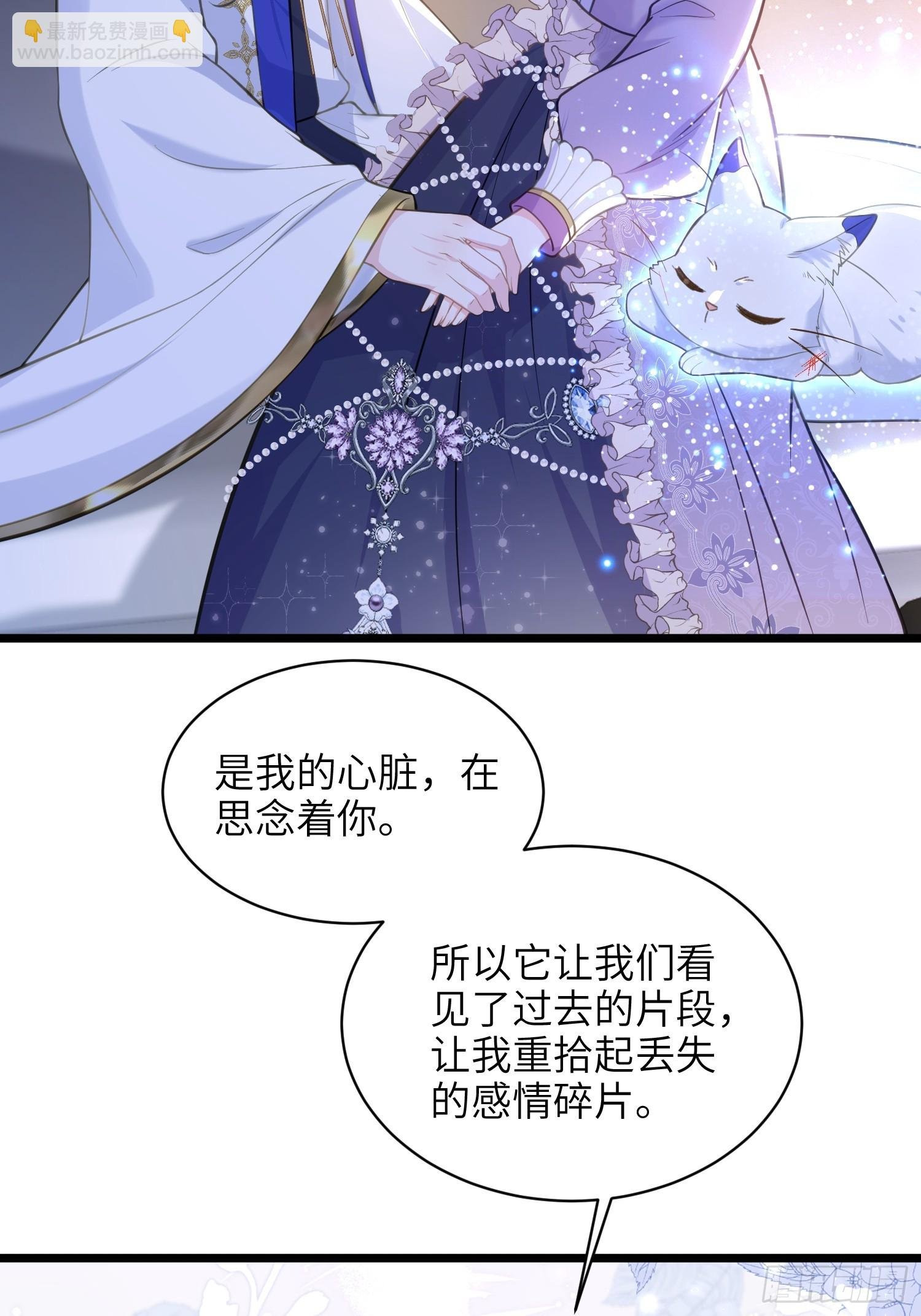 56 拉菲与蕾拉的过去