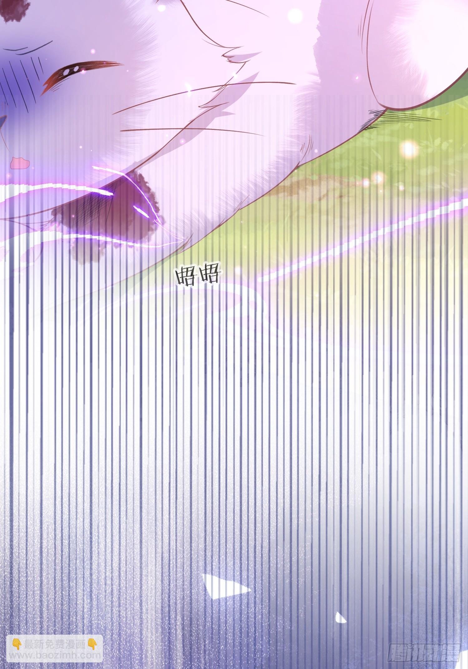 09 猫的梦境
