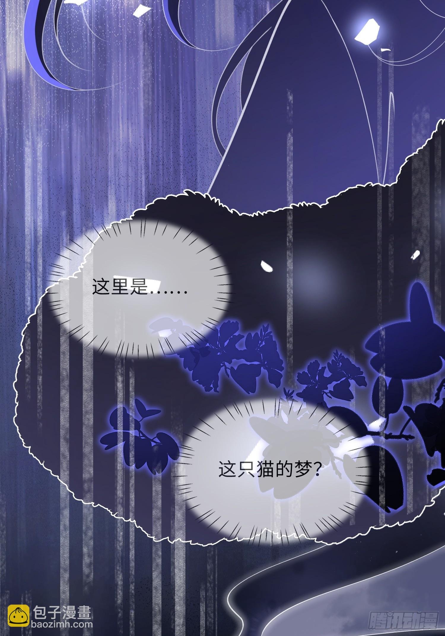 09 猫的梦境