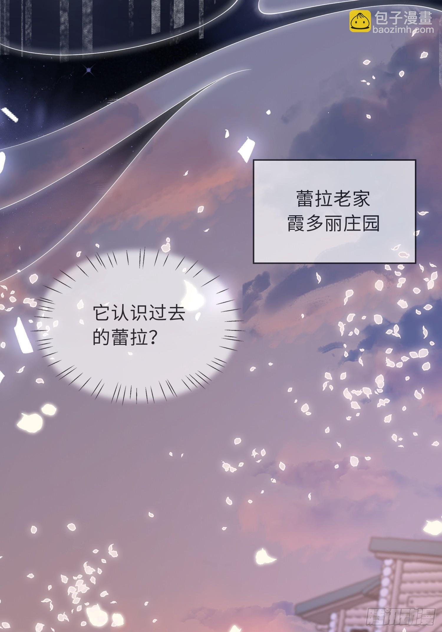 09 猫的梦境