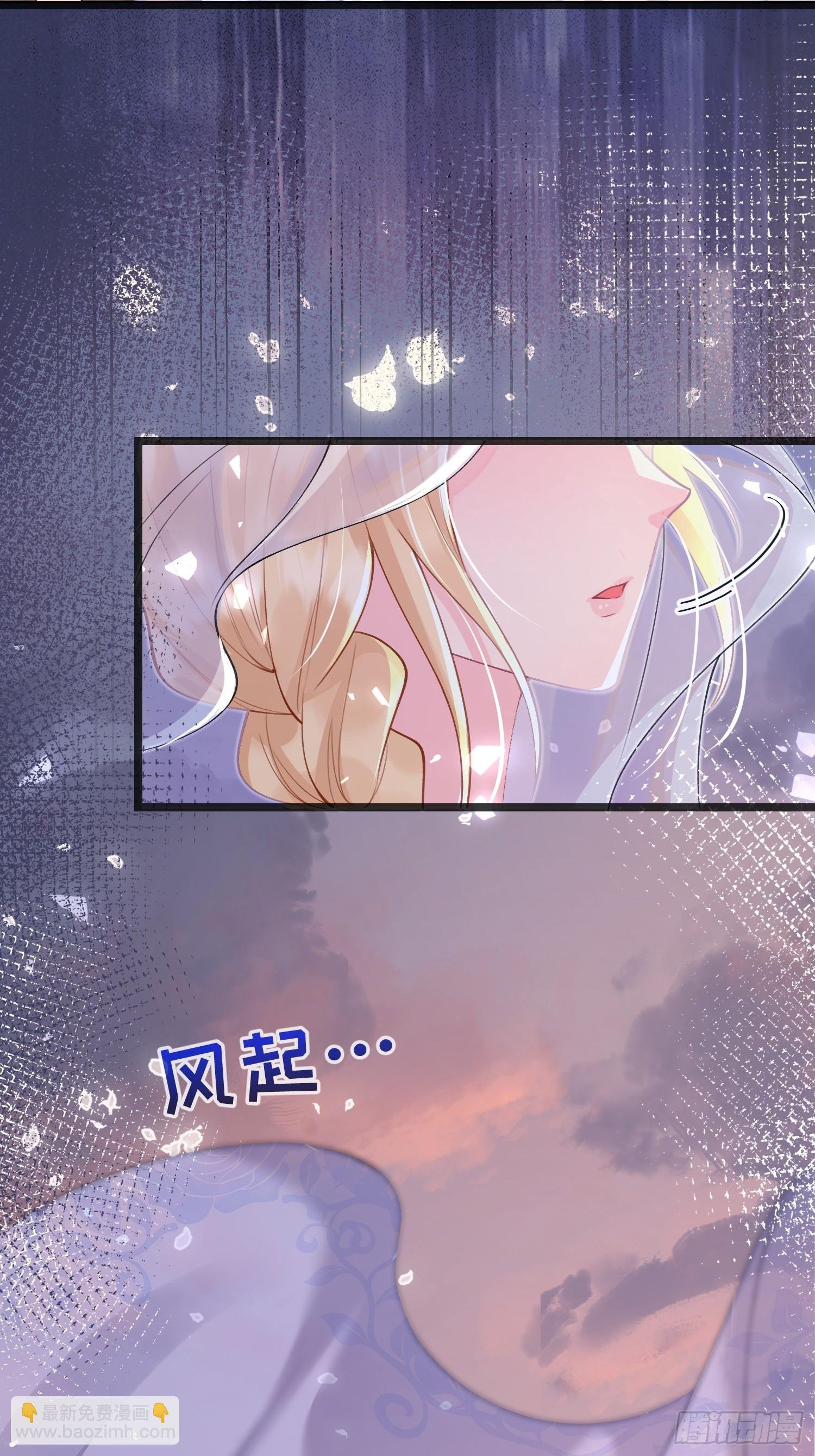 09 猫的梦境